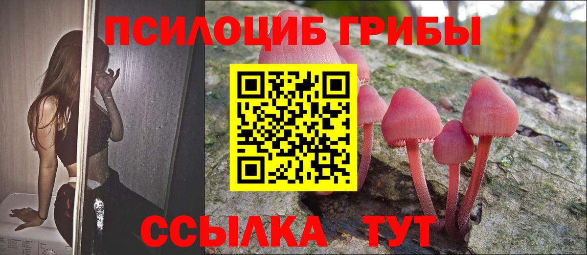 Псилоцибиновые грибы Cubensis Лесозаводск