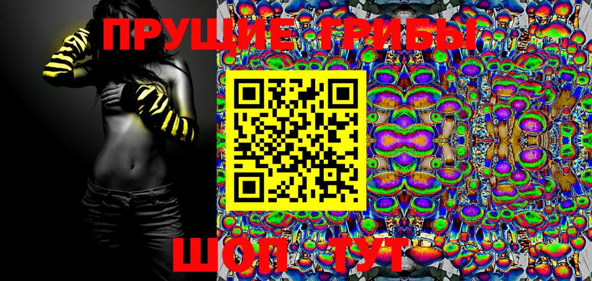 хочу   Галлюциногенные грибы GOLDEN TEACHER  Галлюциногенные грибы Cubensis  Вход с VPN  Лесозаводск 